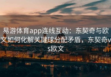 易游体育app连线互动：东契奇与欧文如何化解关键球分配矛盾，东契奇vs欧文