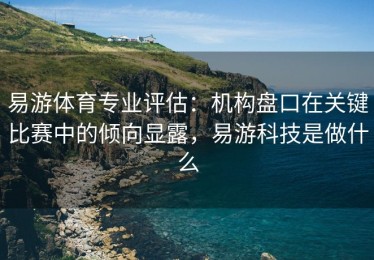 易游体育专业评估：机构盘口在关键比赛中的倾向显露，易游科技是做什么
