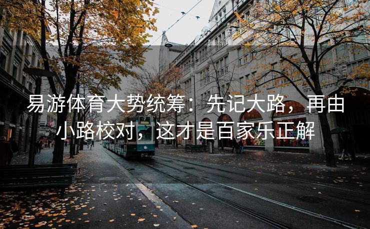 易游体育大势统筹：先记大路，再由小路校对，这才是百家乐正解