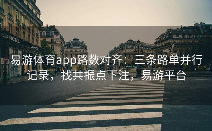 易游体育app路数对齐：三条路单并行记录，找共振点下注，易游平台